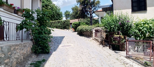 1000028163.jpg