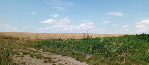 1000029087.jpg