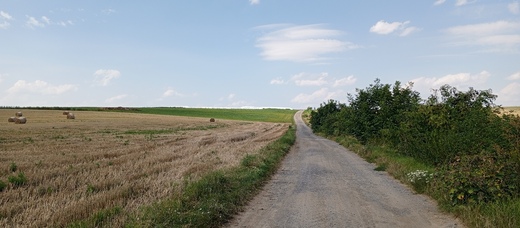 1000029096.jpg