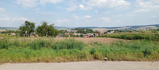 1000029101.jpg