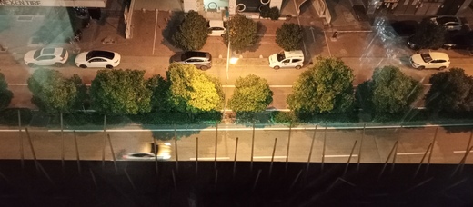 1000041341.jpg