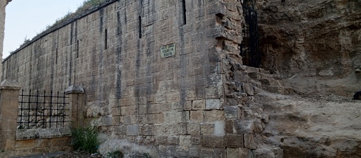 1000041537.jpg